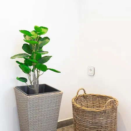 Apartment Lovely 2 Bedroom In Excellent Location Athens